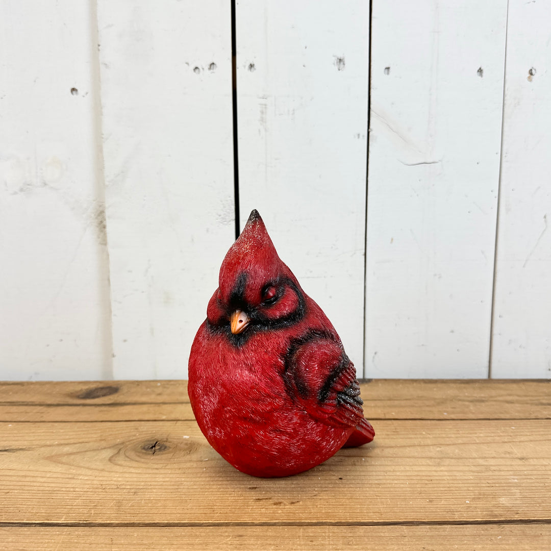 Large Sleeping Cardinal