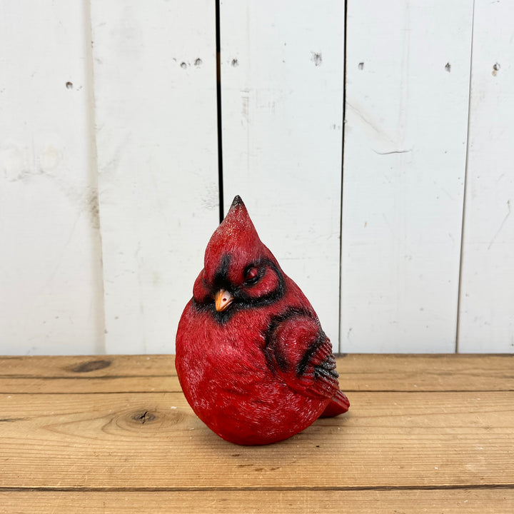 Large Sleeping Cardinal