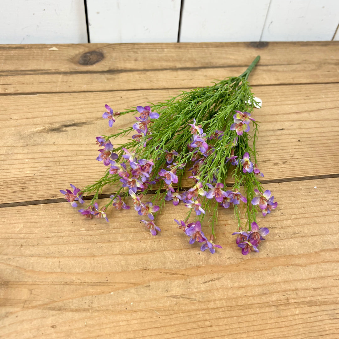 Wax Flower Stems