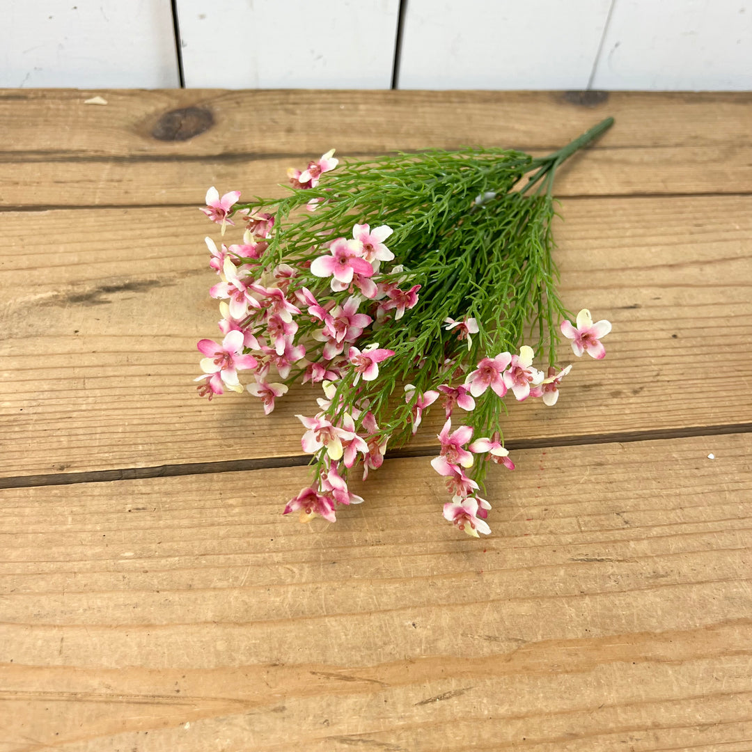 Wax Flower Stems