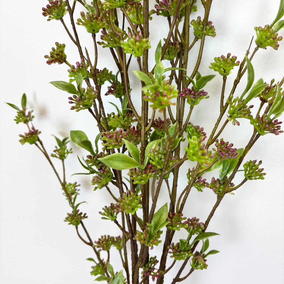 Berry Bundle - 2 Colors