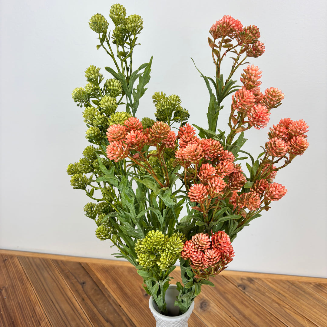Sedum Bouquet - 2 Colors