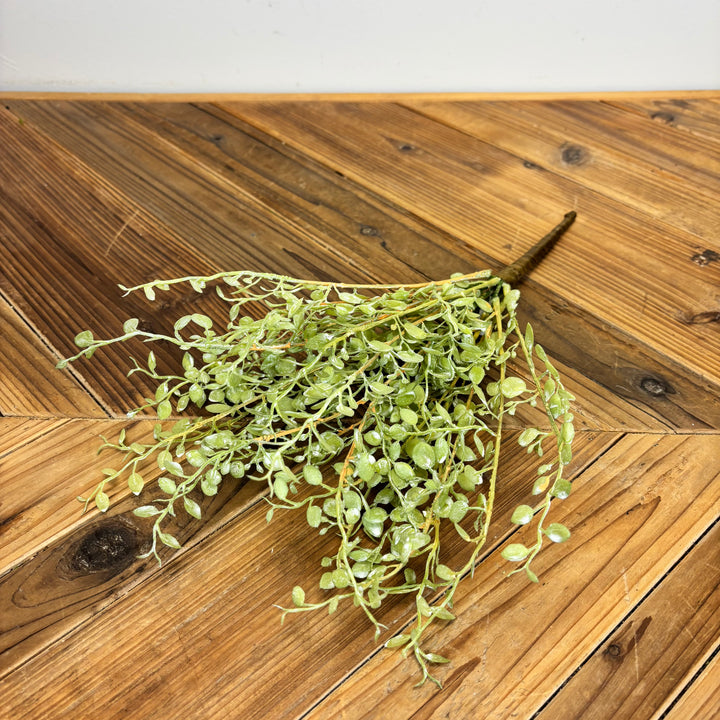 Button Leaf Collection