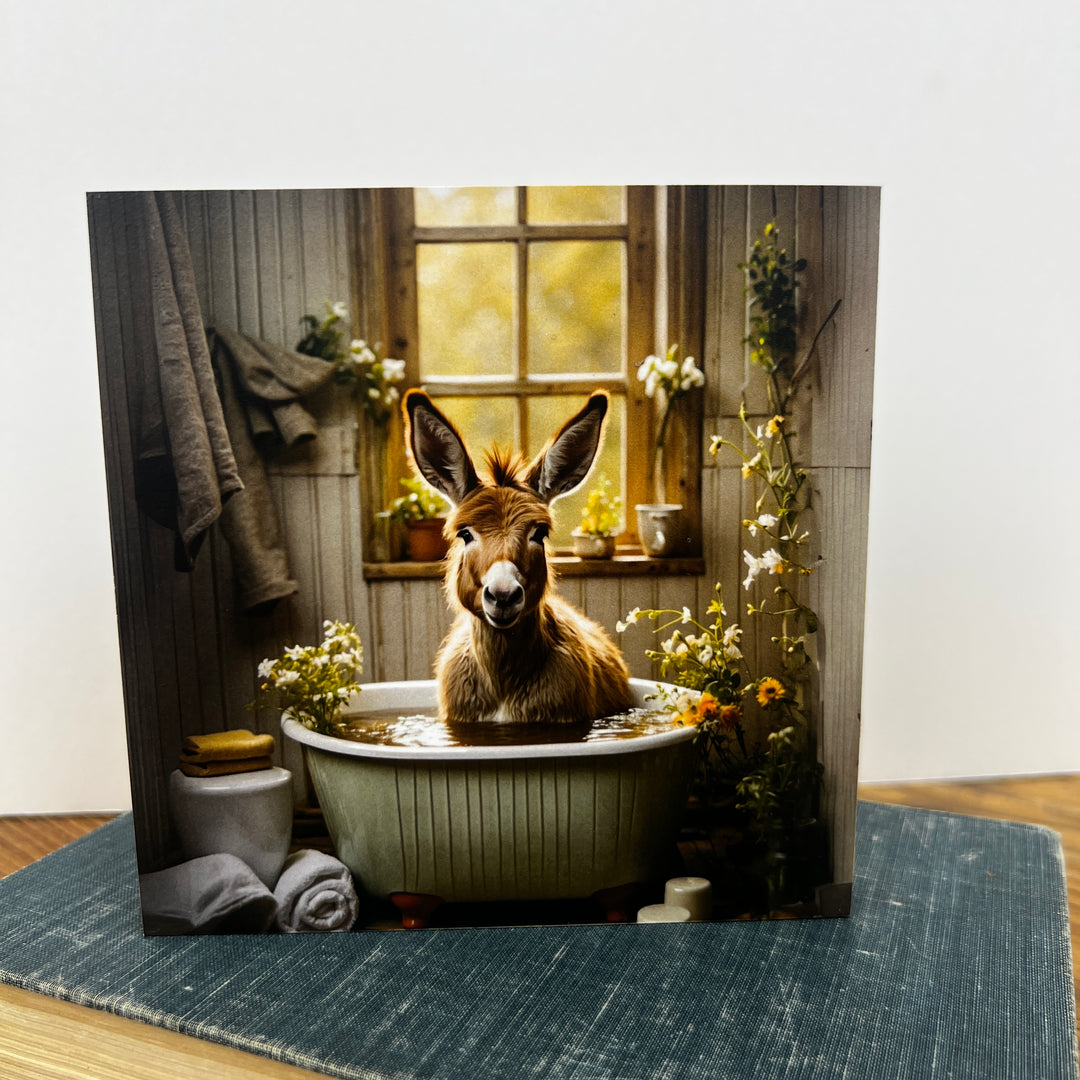 Spring Wooden Blocks