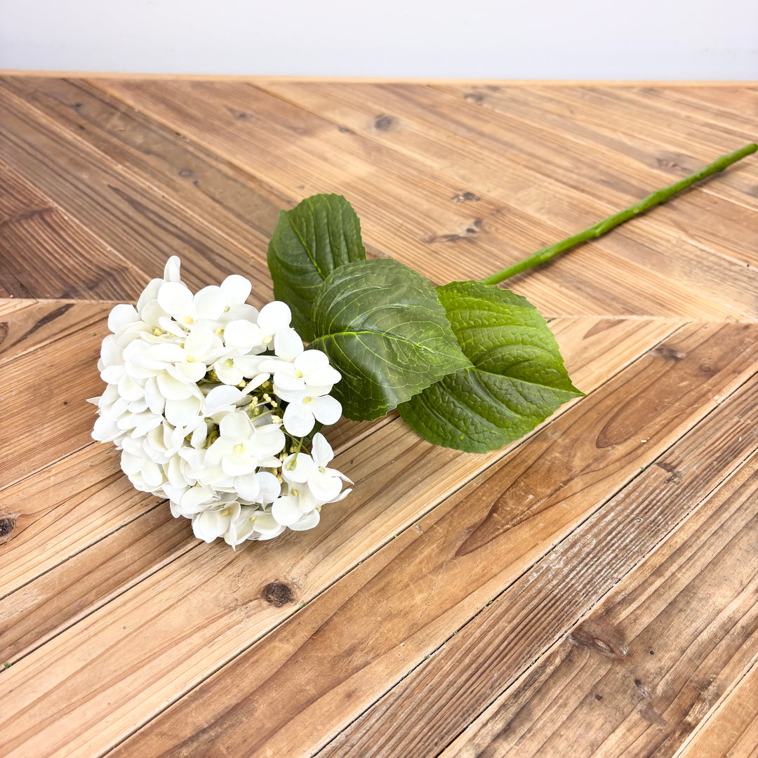 Hydrangea Spray - Cream/White