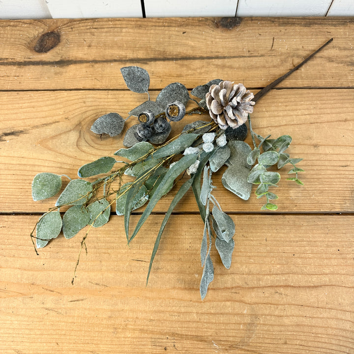 Eucalyptus and Berry Stem