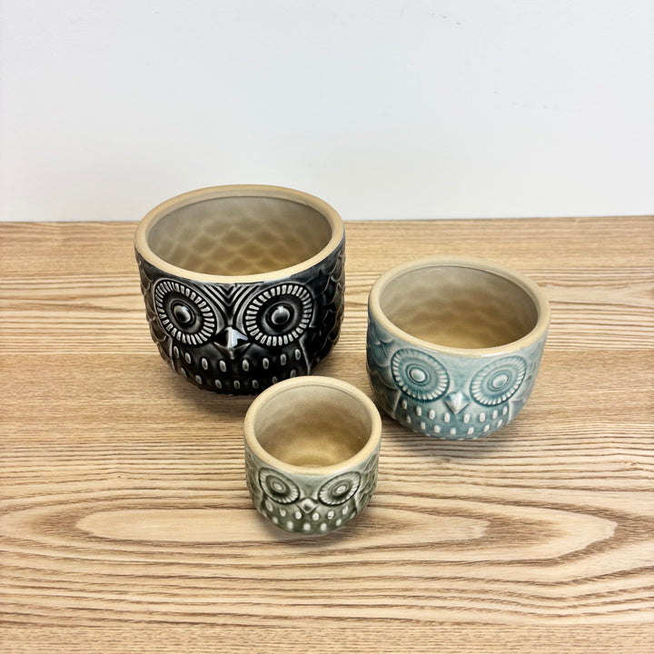 Owl Pots