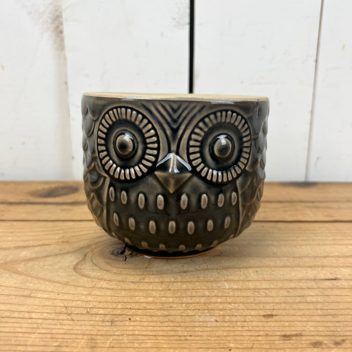 Owl Pots