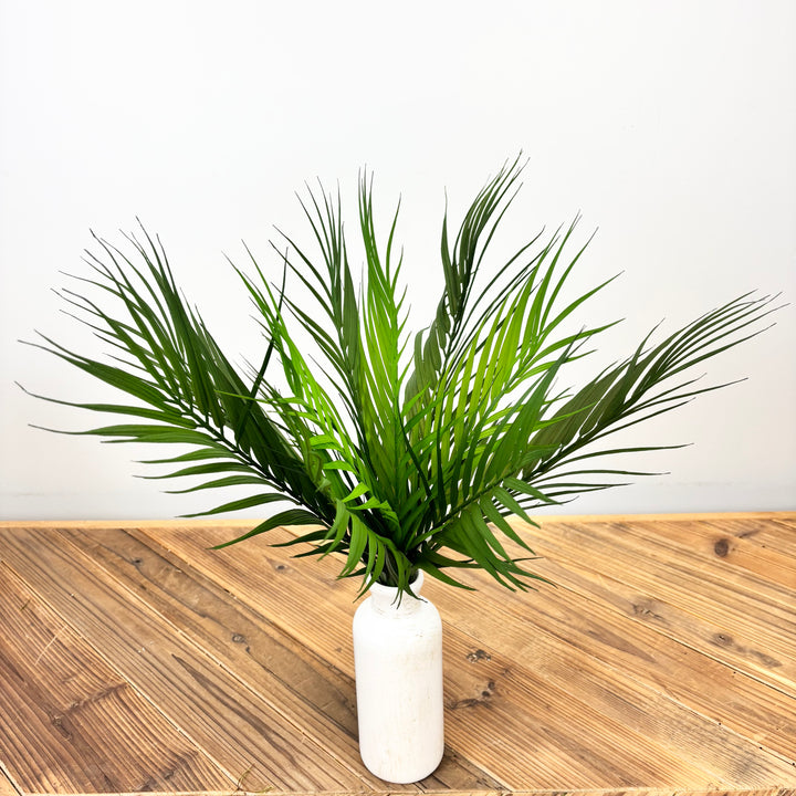 Palm Bush