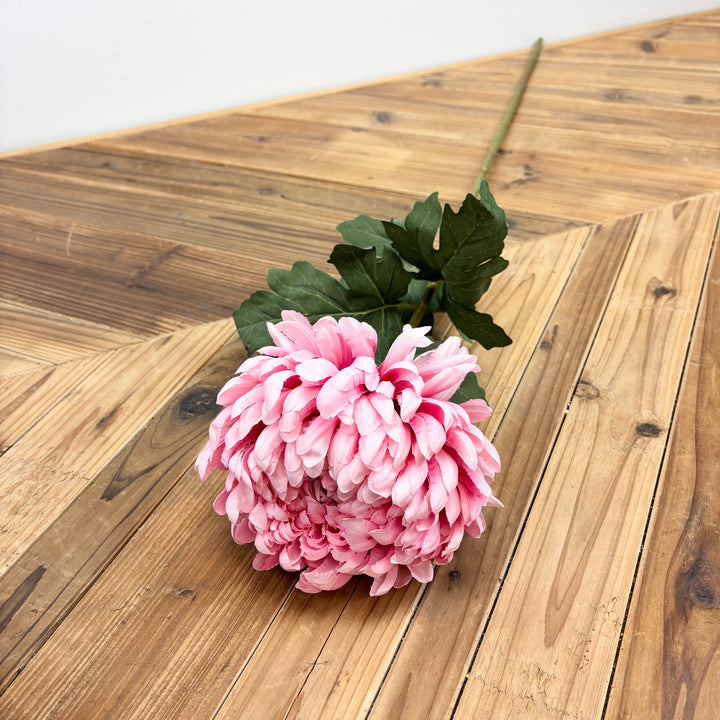 Chrysanthemum Long Stem - Light Pink