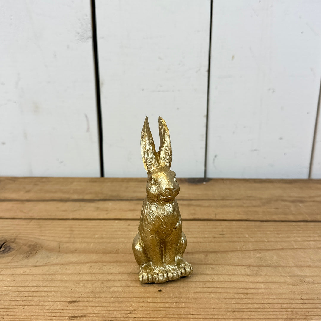 Small Gold Bunny