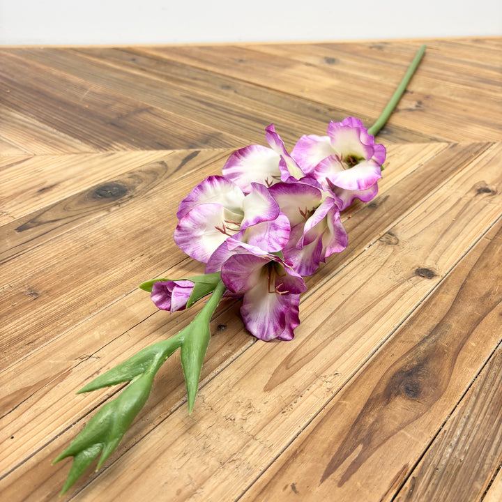 Gladiolus Spray - 2 Colors