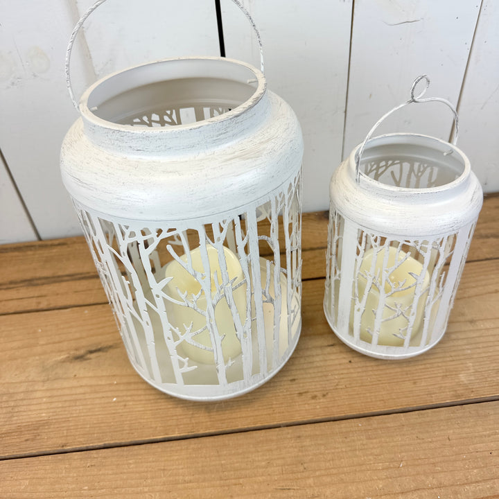 White Metal Birch Lanterns