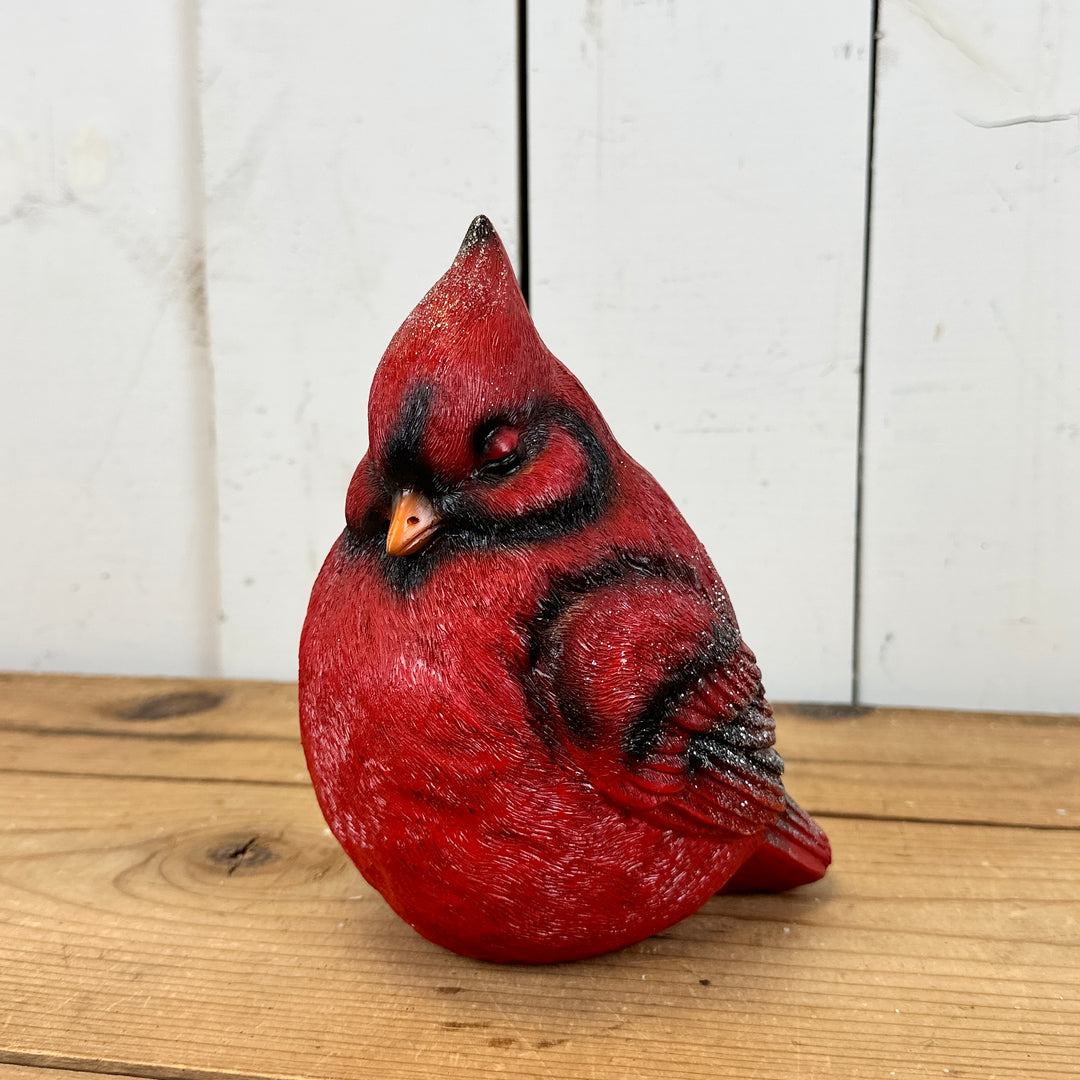 Large Sleeping Cardinal