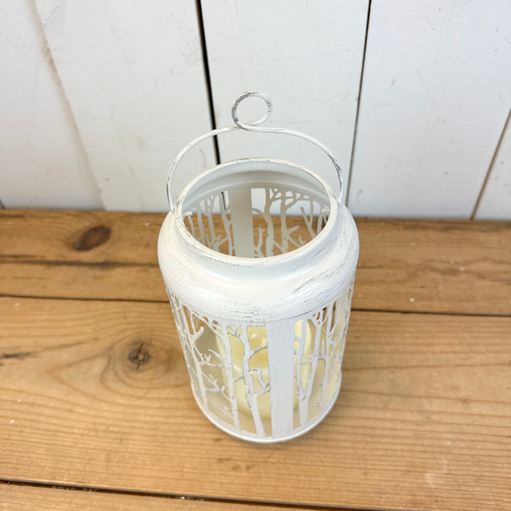 White Metal Birch Lanterns