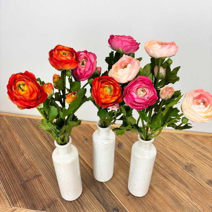 Ranunculus Bundle - 3 Colors
