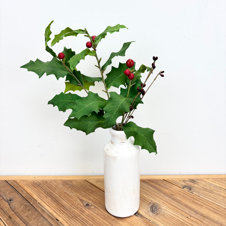 Holly Stem
