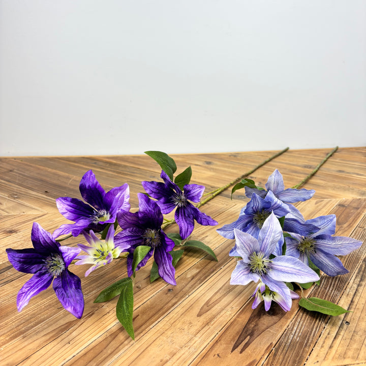 Clematis Spray - 2 Colors