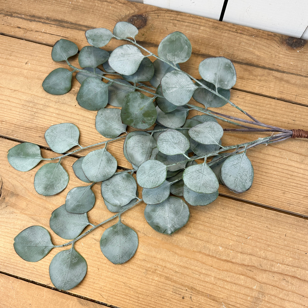 Silver Dollar Eucalyptus Bundles