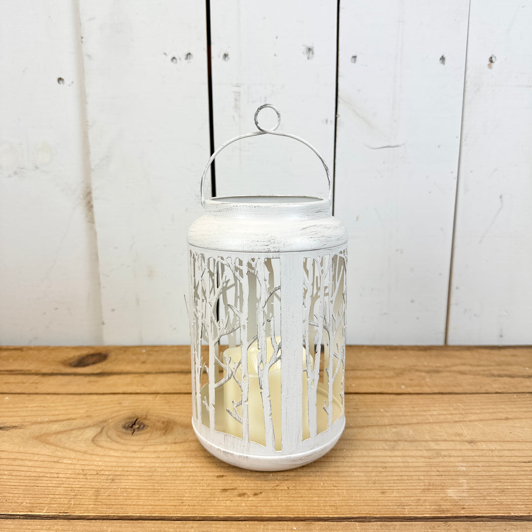 White Metal Birch Lanterns