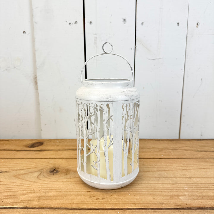 White Metal Birch Lanterns