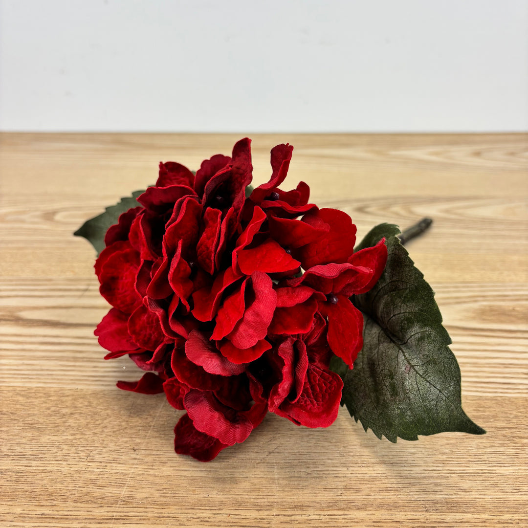 Velvet Hydrangea Stem