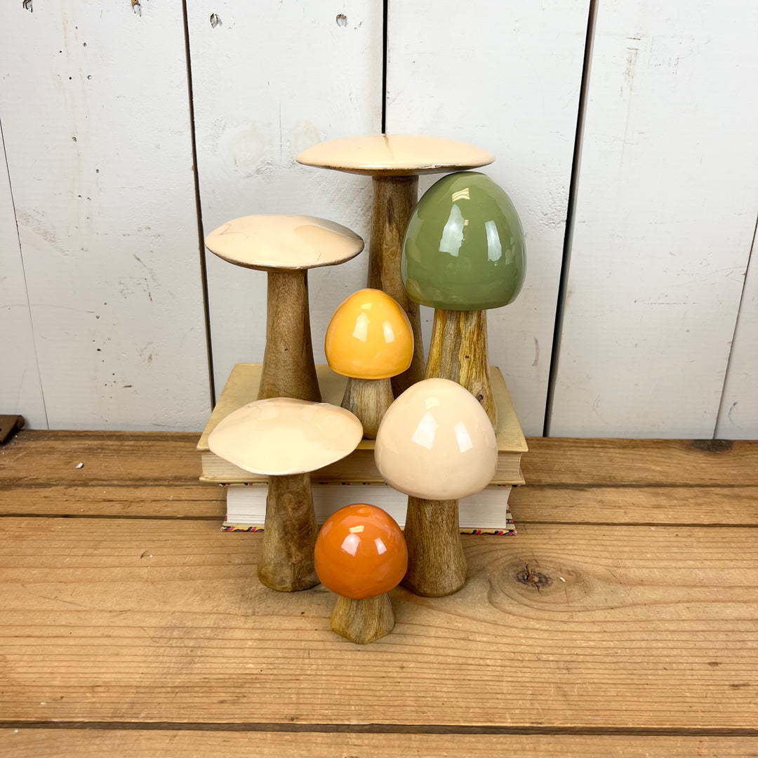 Tan Mushrooms