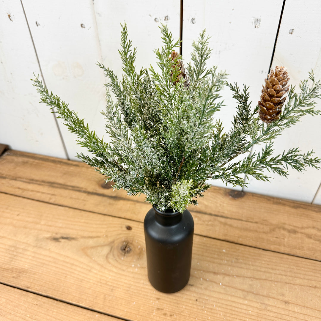 Frosted Arborvitae Stem