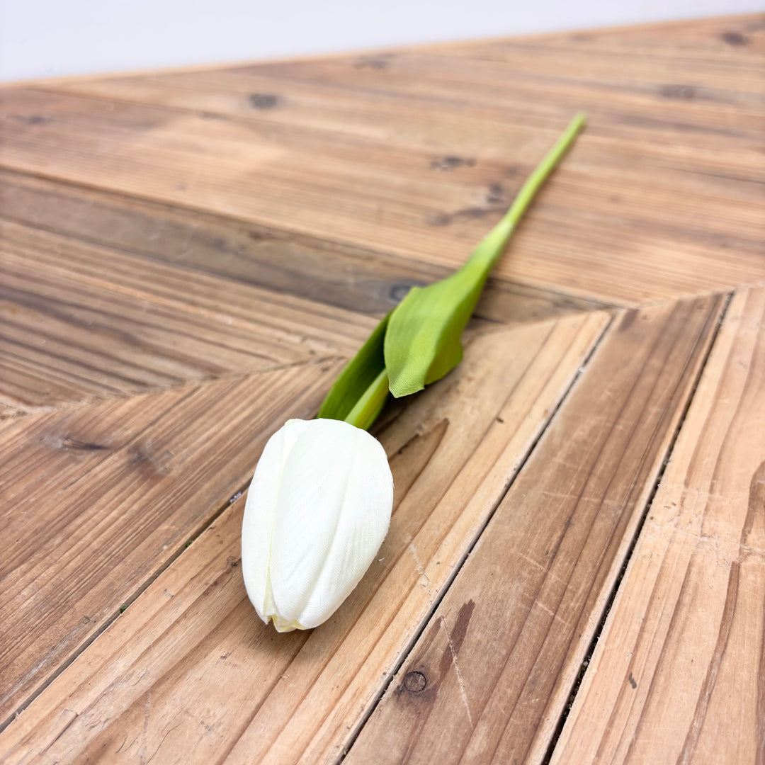 Tulip Stem - 3 Colors