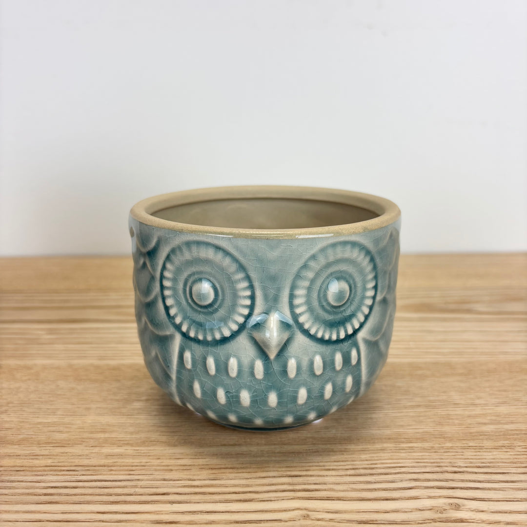 Owl Pots