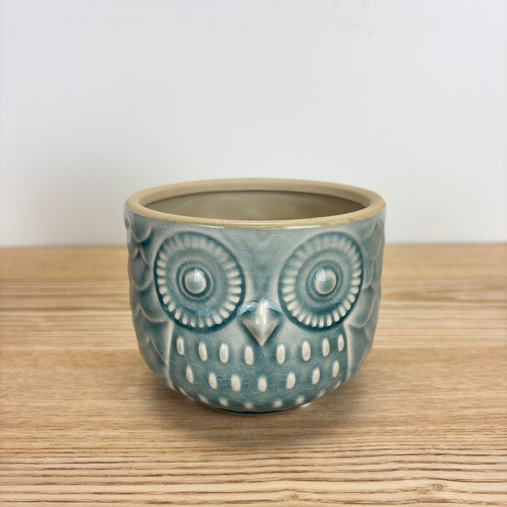 Owl Pots