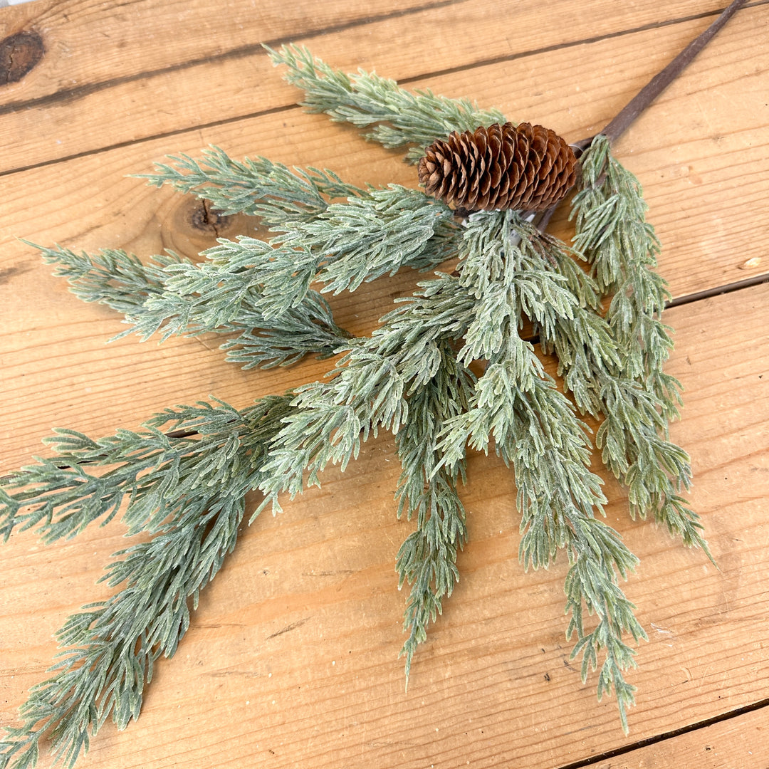 Long Pine Spray