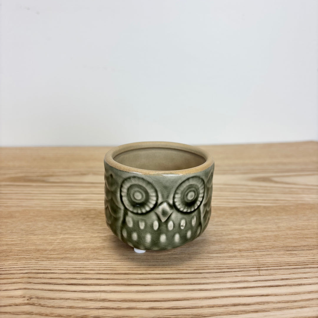 Owl Pots