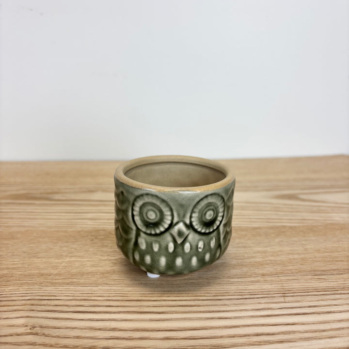 Owl Pots