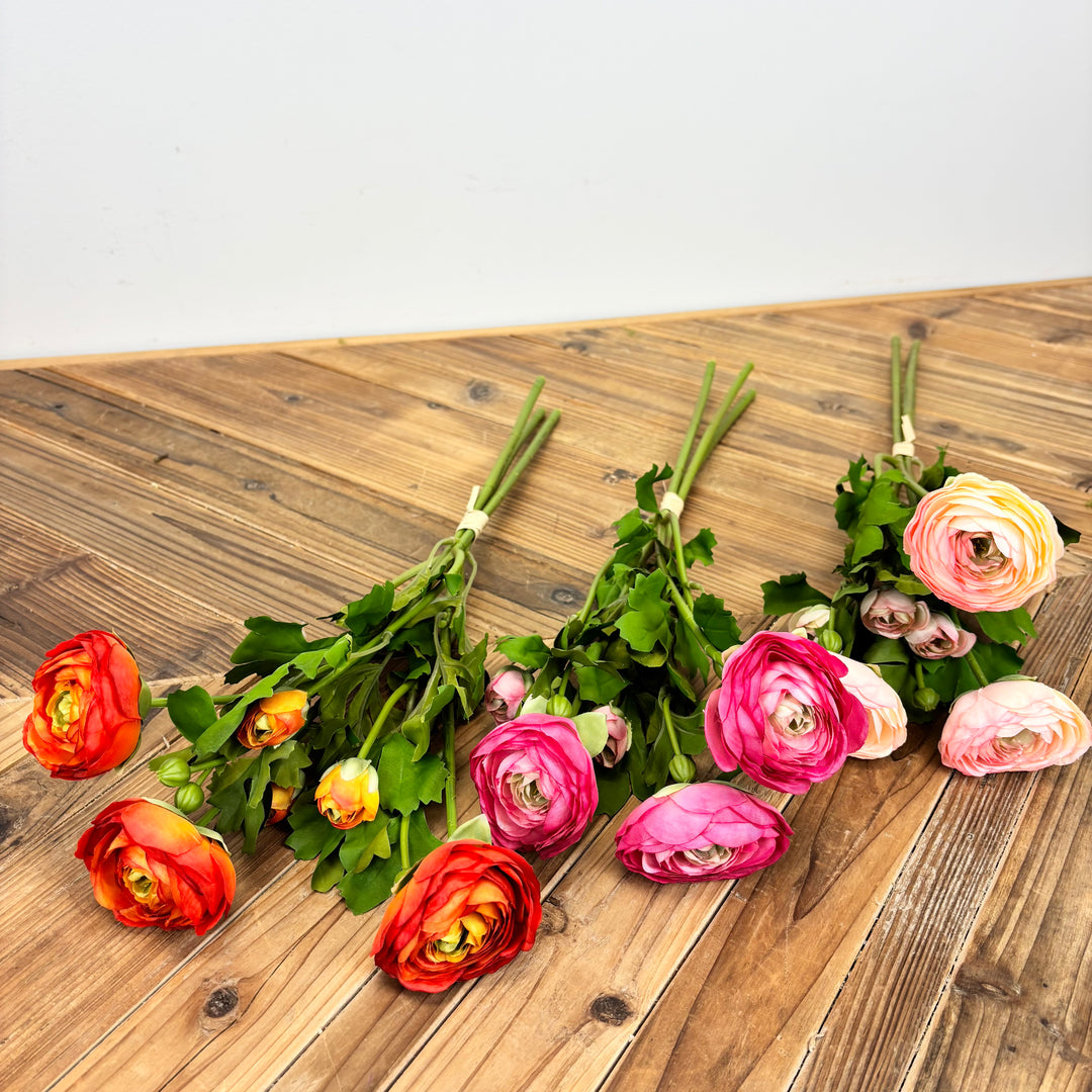 Ranunculus Bundle - 3 Colors