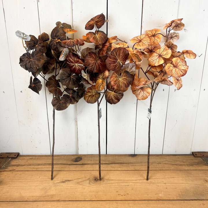 Ginkgo Leaf Stems
