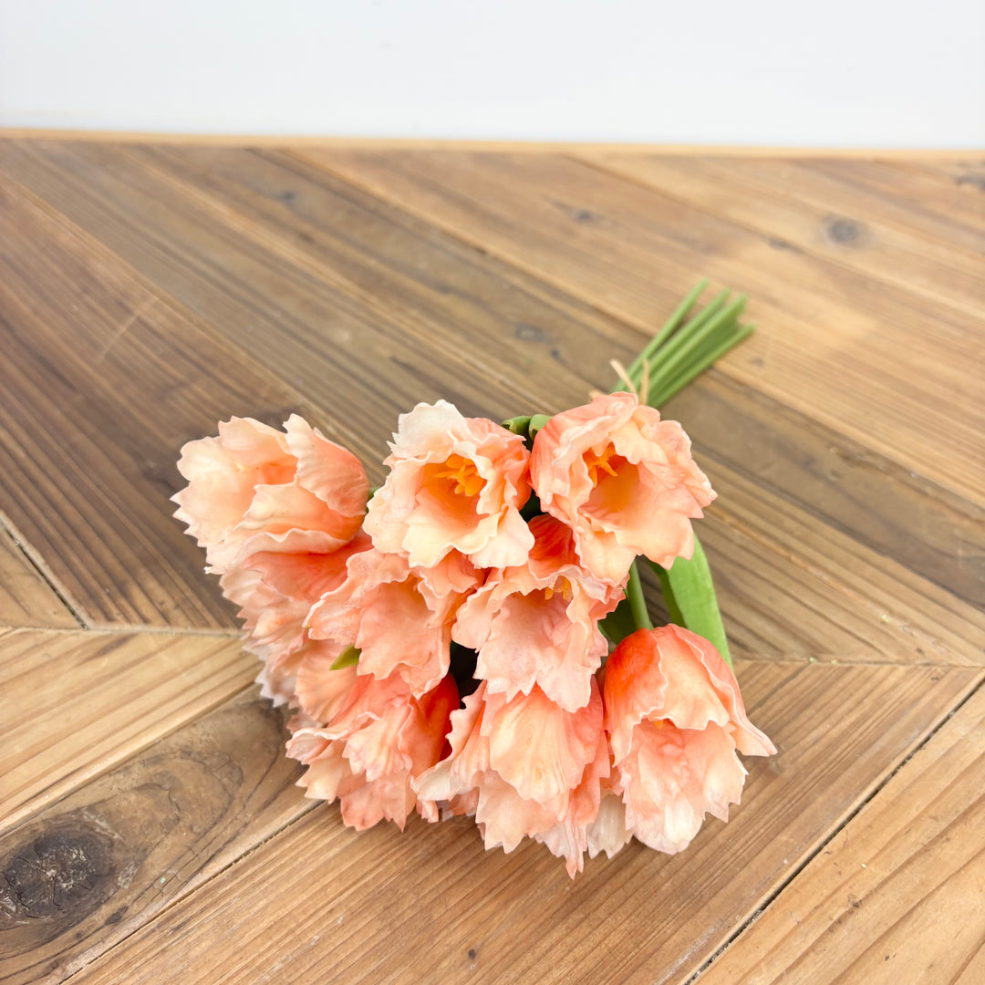 Parrot Tulip Bundle - 2 Colors