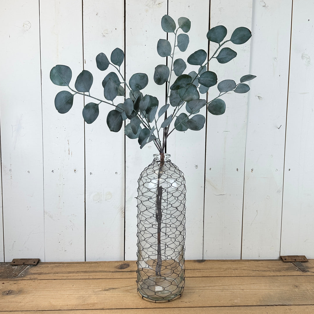 Silver Dollar Eucalyptus Bundles