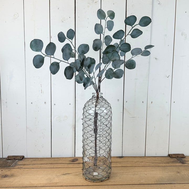 Silver Dollar Eucalyptus Bundles