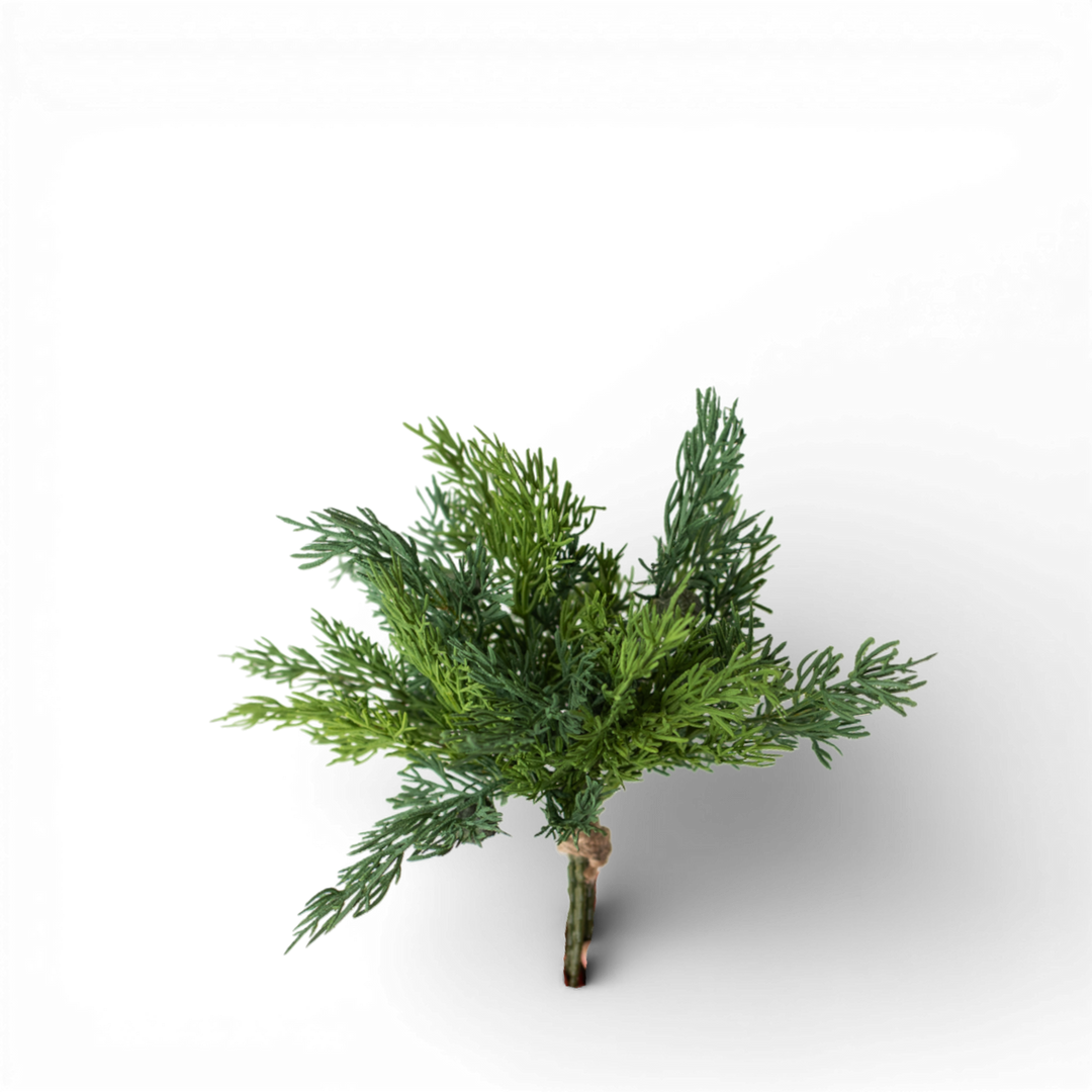 Cedar Bouquet