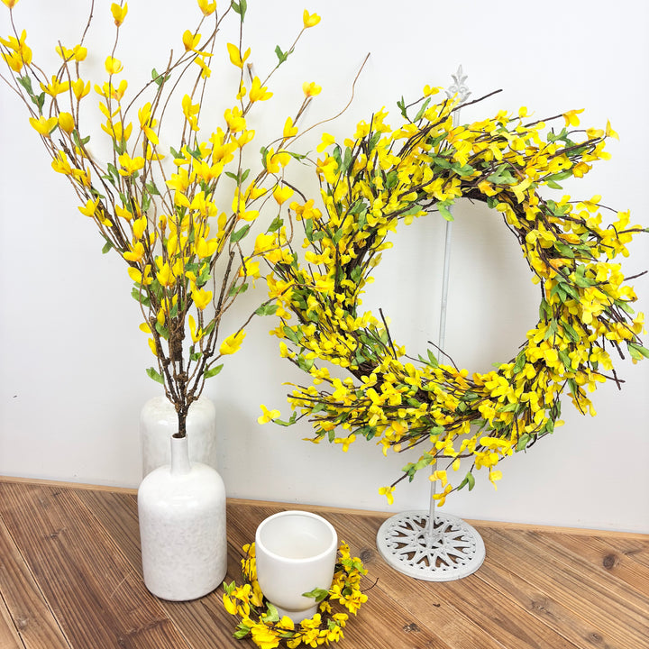 Forsythia Collection
