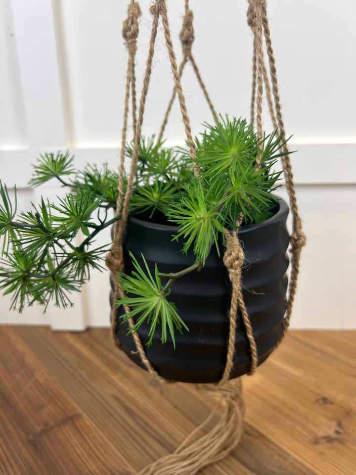 Jute Plant Hanger
