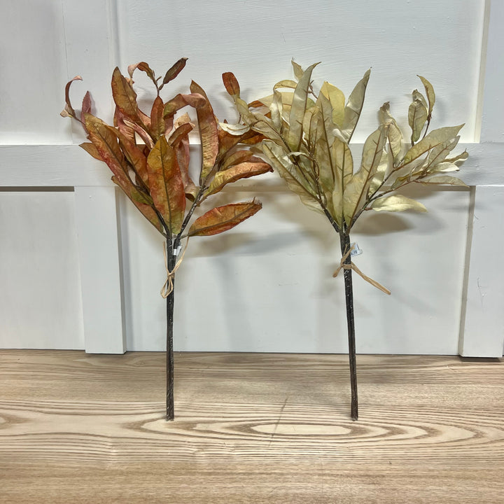 Dried Laurel Leaf Bundles