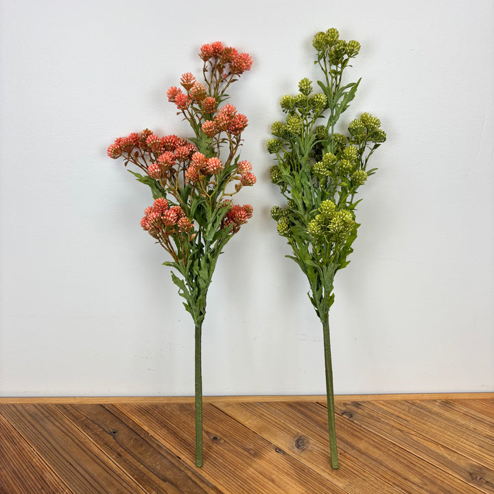 Sedum Bouquet - 2 Colors