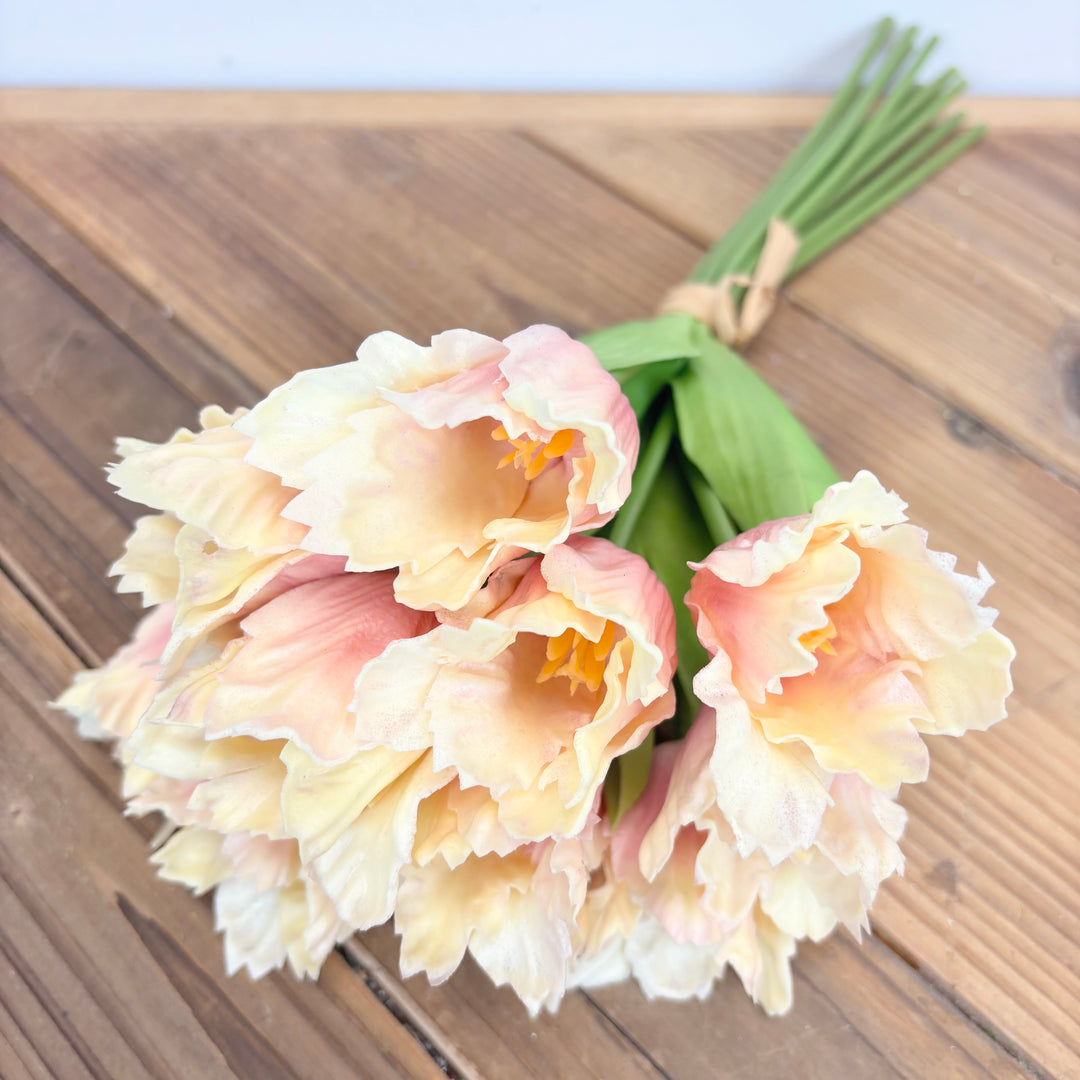 Parrot Tulip Bundle - 2 Colors