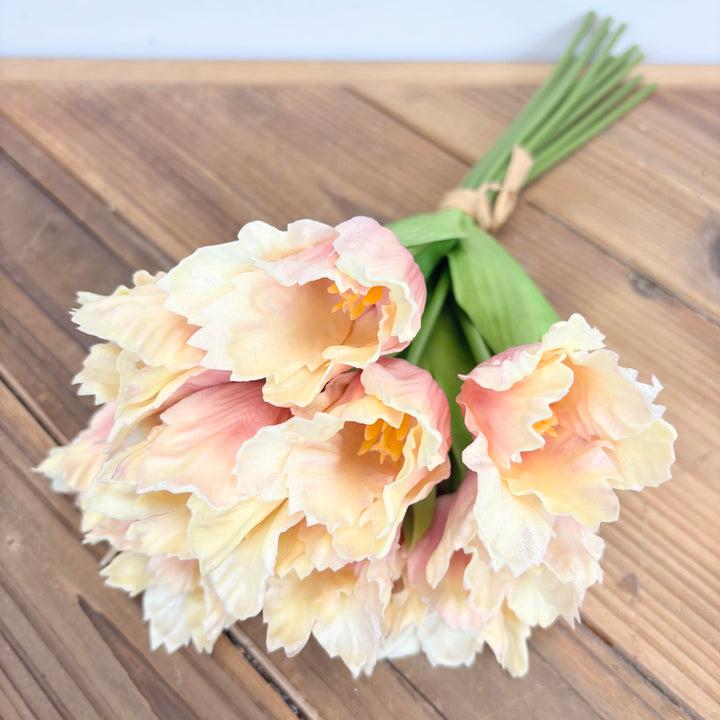 Parrot Tulip Bundle - 2 Colors