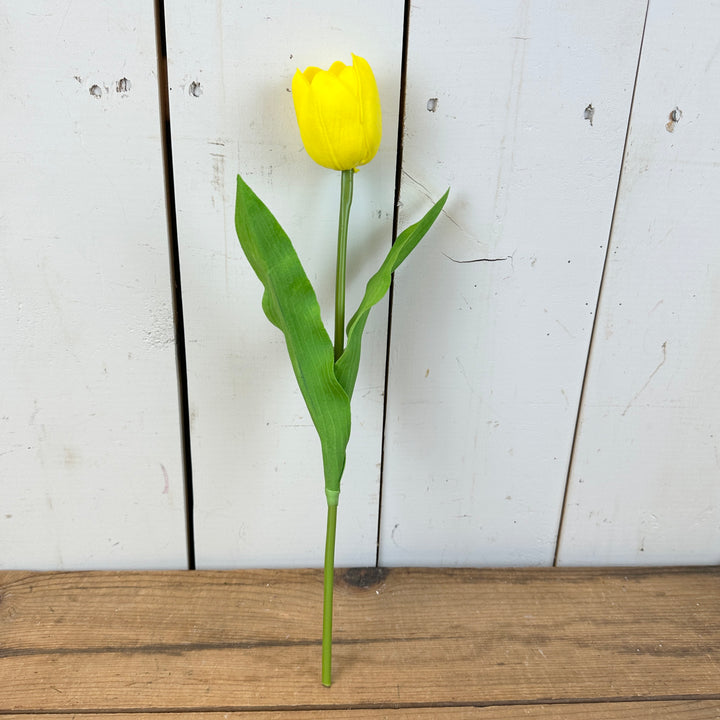 Real-Feel Single Jumbo Tulip Stem