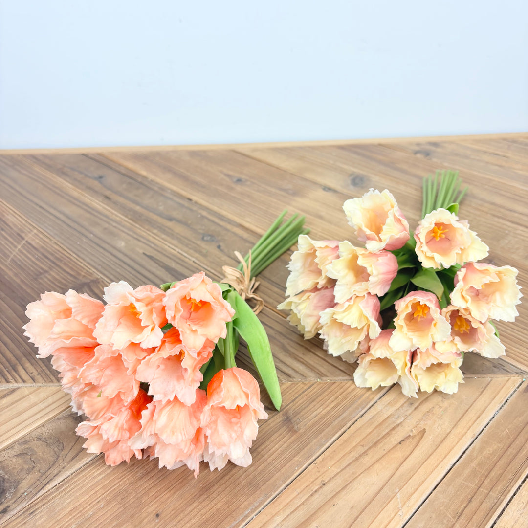 Parrot Tulip Bundle - 2 Colors