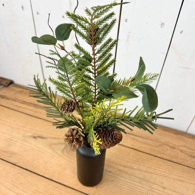 Mixed Pine Stem