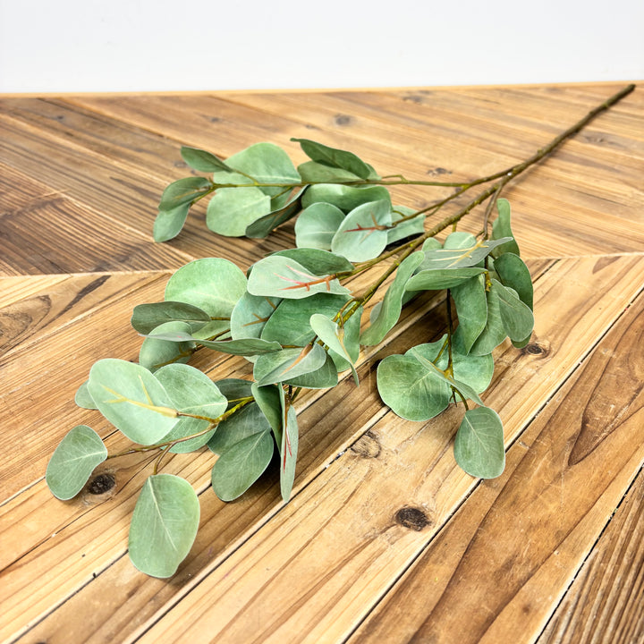 Silver Dollar Eucalyptus Spray - 2 Colors